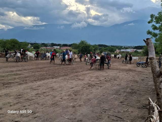 Posilumba Japi jadi Daya Tarik Wisata Kabupaten Sigi